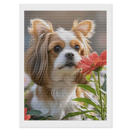 Peinture diamant Shih Tzu kit anti-stress adulte pour débuter facilement l'art créatif 5D