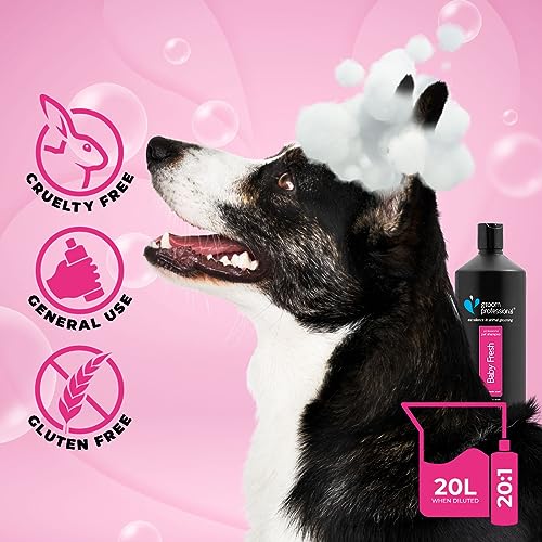 GROOM PROFESSIONAL Baby Fresh Hundeshampoo Sensitiv - Hundeshampoo Gegen Geruch - Babypuderduft - Für Juckende & Trockene Haut - Sanft Duftendes Welpenshampoo - Perfekt für Welpen, 1 Liter