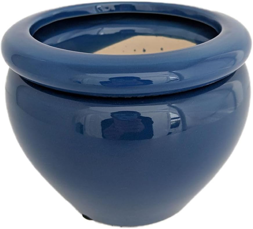 Hirt's Gardens Round Self Watering Glazed Ceramic Pot - Blue - 6 1/4 x 4 3/4"