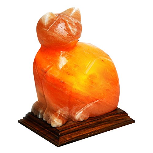 Salt Lamps And Cats The Dangers Is That Your Cat