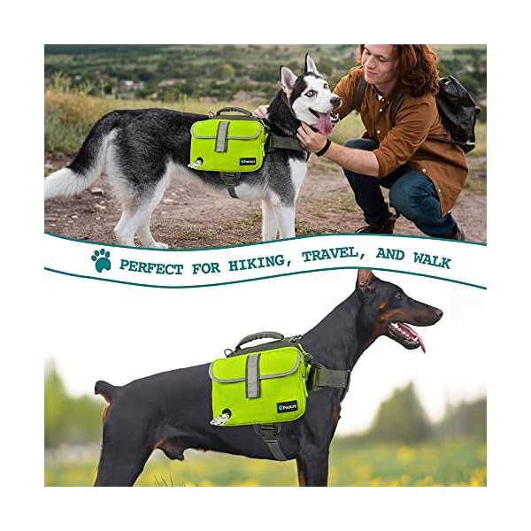 PetAmi Dog Backpack - Ultimate Gear for Adventure-loving Canines!