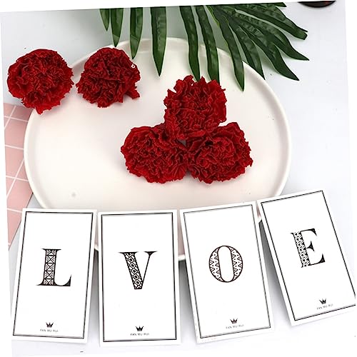 Zerodeko 2pcs Eternal Carnation Flores Secas para Ramo miniatura 3