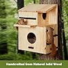 Large Wooden Squirrel House for Outside with Dual Balconies, Squirrel Nesting Box with Acrylic Observation Window, Lockable Front Panel, Easy to Install Squirrel Box for Backyard, Tree or Fence