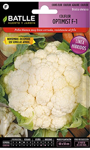 Amazon.es: Semillas Batlle: Semillas Híbridas