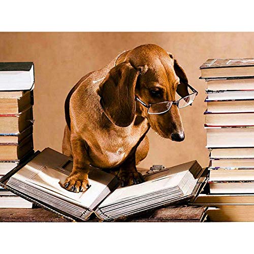 GZZG 5D DIY Diamond Painting Full Round Drill"Dog Reading Book" Rhinestone Embroidery Cross Stitch Gift Home Decor Gift-16x20in(40x50cm)