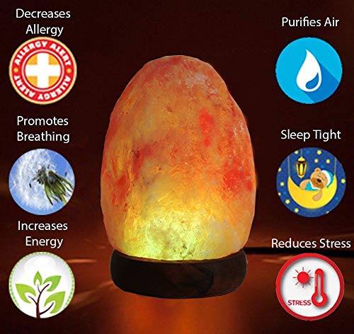 FANHAO USB Himalayan Salt Lamp - Image 2