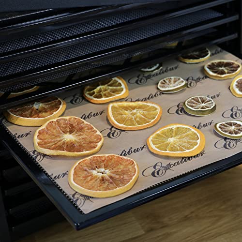 Excalibur Paraflexx Reusable Non-Stick Drying Sheets For Food Dehydrators 11-Inch, Set Of 4, Brown #TOP3