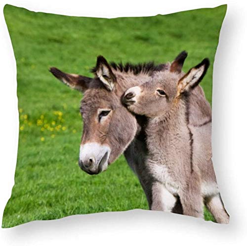 Giftme Donkey Cushion Cover for Bedroom/Sofa Car Chair Decor, 45 Cm X 45 Cm Linen Cushion Cover, Throw Pillow Cushion Cover.