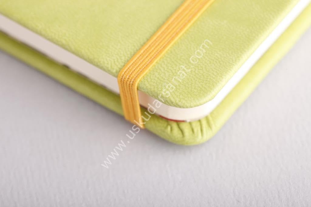 Rhodia Rhodiarama A5 Webnotebook, 5.5 in x 8.25, Lined - Anise (118746)