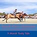 Produktbild Beach Race Champion: A Marsh Tacky Tale