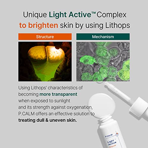 Pcalm Light Active Facial Skin Serum Ampoule - Blemish Dark Spot Sagging Hyperpigmentation Sebum Care Exfoliating Dead Skin Regeneration Even Skin Tone 0.5 Oz Dry Sensitive Oily Niacinamide Korean #TOP2