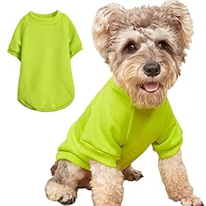 Puppy Sweater for Small Dogs Clothes Warm Winter Cat Clothe Pet Sweatshirt Knitwear Doggie Kitten Clothing, Light Green, Large