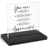 FOUGSTA You Are Appreciated, Employee Appreciation Gift, Thank You Gift, Appreciation Gift, Modern Transparent Acrylic Desk Plaque with Inspirational Quotes, 10 x 10 x 1.5 cm,XXY64