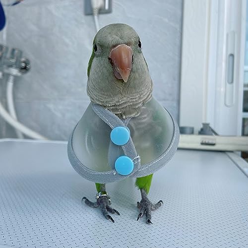 Image of Adjustable Parrot Cone Collar, Safe and Practical Cotton Collar to Prevent Bites and Licking Wounds, to Help heal (M)