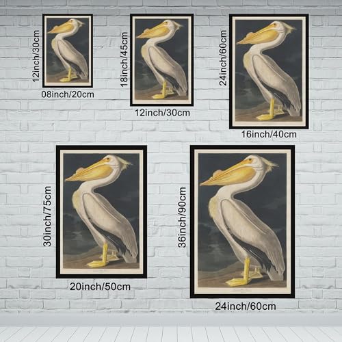 Impression sur toile pélican blanc américain solution déco pour petits murs vides