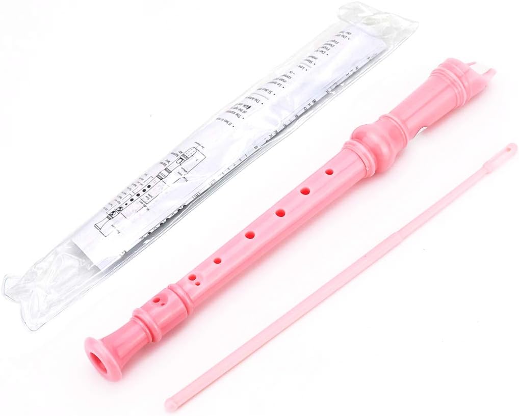 W.ent Descant Recorder 8-Hole Soprano Kids Music Flute With Cleaning Rod & Case Bag for School Student