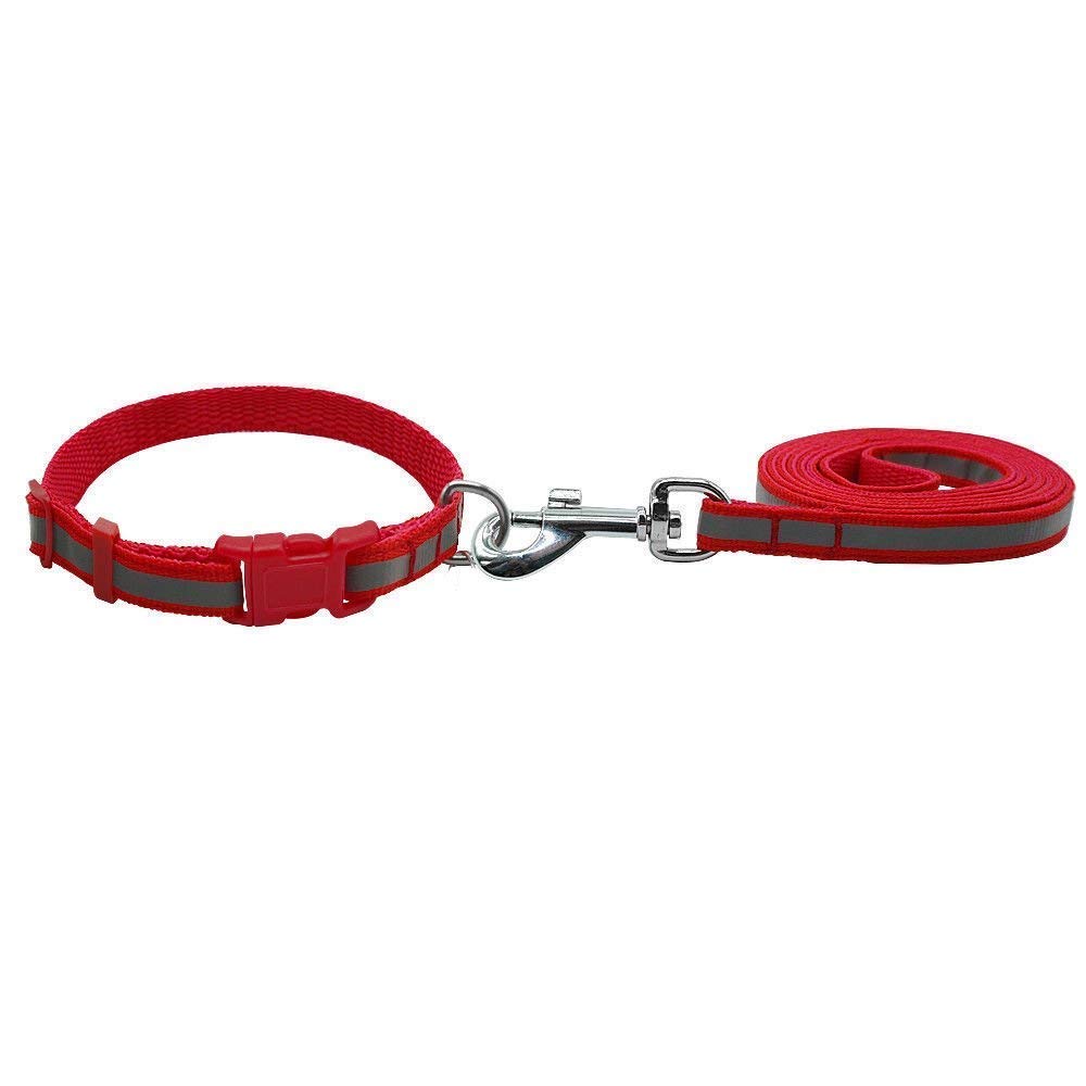 RvPaws Imported Nylon Reflective Dog Leash and Collar Set, Suitable for Puppies and Small Dogs, Night Safty Collar Leash Set - 10 MM (X-Small) (Red) (B0BL13DWD8) Amazon Price History, Amazon Price Tracker