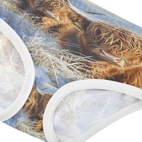 Two Highland Cows Winter Snow Toddler Girls's Underwear 2T 202b86224