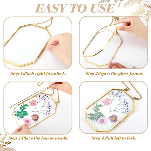 2 Pieces Gold Floating Frame Double Clear Hanging Glass Frames For Pressed Flowers Octagon Geometric Floating Frame Frames For Pressed Flowers With Chain For Diy Modern Home Wall Art (4 X 6 Inch) #TOP2
