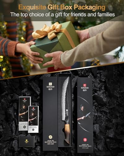 XINZUO 25,5cm Tranchiermesser Damaststahl Fleischmesser -Multifunktions Kochmesser Professionelles Scharf Geschmiedet Küchen Chefmesser Grillbesteckmesser -Griff aus Weißeiche -Exquisite Geschenkbox