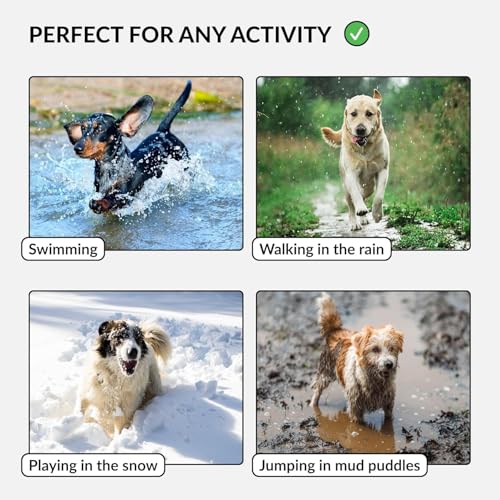 Image of Heavy Duty Waterproof Adjustable Dog Collar with D-Ring and Breakaway Buckle - PVC Coated Nylon, Odor & Mud-Resistant, Easy-Cleaning for Small, Medium, Large Dogs (Neck Fit 10 inch-13 inch, Red)