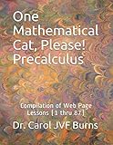 One Mathematical Cat, Please! Precalculus: Compilation of Web Page Lessons (1 thru 87)