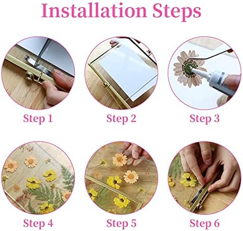 Pinenuts Real Dried Pressed Flowers, 1 Box Mixed Multiple Natural Flowers Leaves, Floral Art Craft for DIY Resin Pendant, Candle Making, Nail Jewelry Crafts and Home Decorations