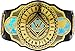 Mattel WWE Championship Title, Intercontinental Champion, Kid-Sized Belt Accessory for Role-Play & Costumes, 3+ feet Long with One-Time Adjustment