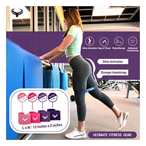 Image of Resistance Bands Mini Loop Exercise Bands Sliding Discs 70+ Exercises eBook Heavy Fitness Workout Men Women Toning Booty HIPS Glutes Thighs (Miami Ninja - Heavy)