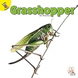 grasshopper rhino download  Grasshopper