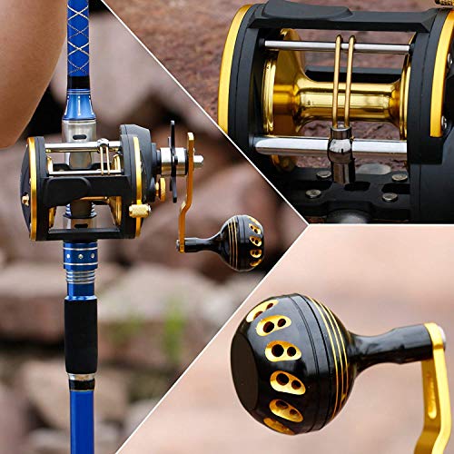 Burning Shark Trolling Reel Saltwater Level Wind Reels, Drag Reels Boat Fishing Ocean Fishing For Sea Bass Grouper Salmon #TOP5