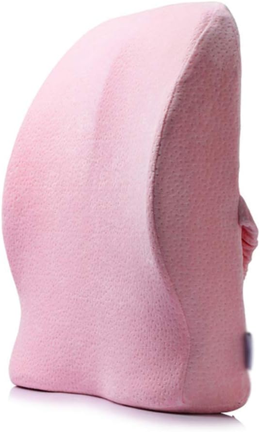 Lumbar Pillow - Ventilated Charcoal Infused Memory Foam Lumbar Pillow for Home/Office Chairs Driver Car Seat Back Support(Blue)