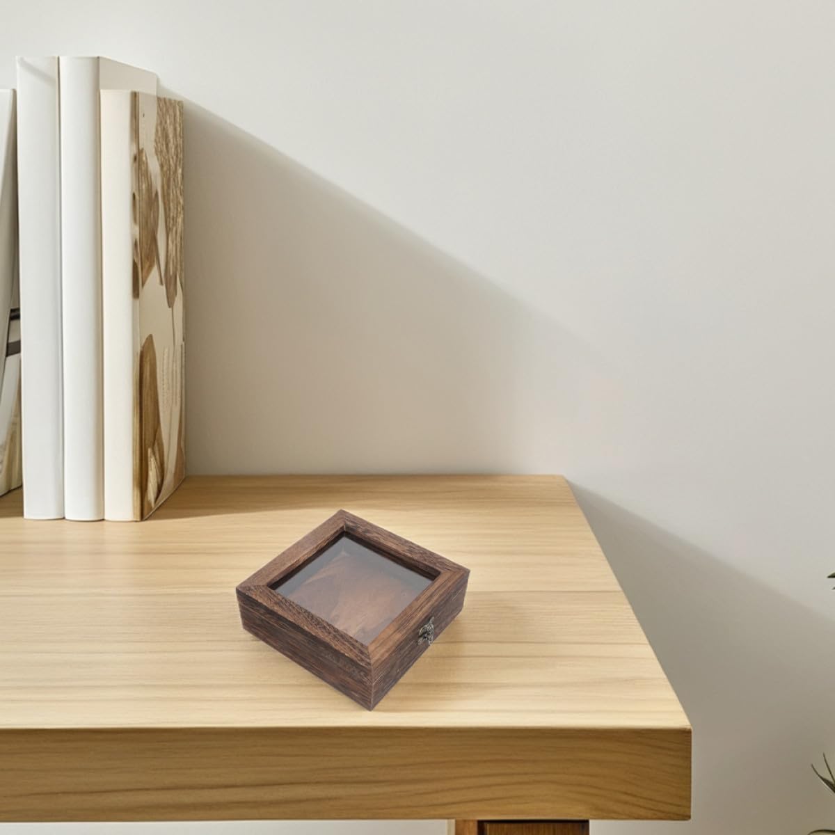 Lot de 2 Boîtes de Présentation en Bois Rustique pour Conservation D’Insectes Boîte à Ombres avec Couvercle Rabattable Bois de Paulownia Carbone 15X15X45 CM Vitrine