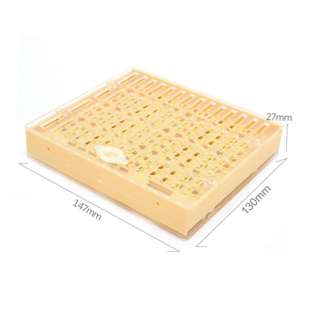 HEMOTON Herramientas De Apicultura Caja De Cría Para Abejas Reinas Estuche Fácil De Instalar y Desmontar