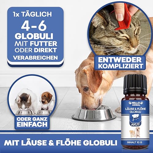 NEU: HelloAnimal® LÄUSE & FLÖHE Kügelchen für Hunde - für Ihr Haustier mit SOFORTWIRKUNG