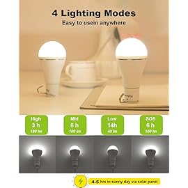Flyhoom Portable Solar Light Bulbs for Indoor Home and Chicken Coop, Chicken Coop Light with Timer, LED Solar Lights for Indoor Emergency Power Outage