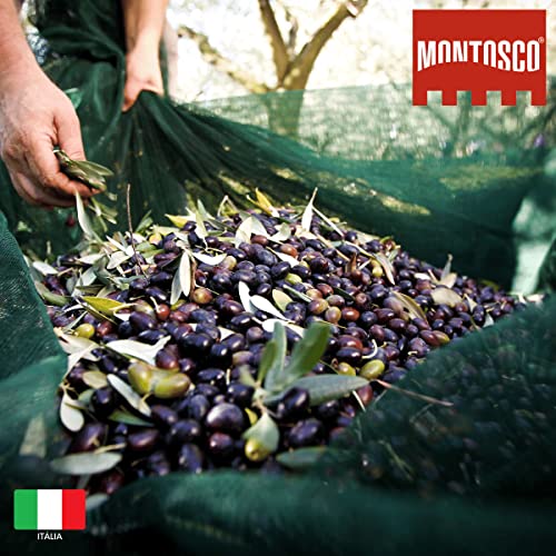 Montosco Azeite Extra Virgem Com Manjericão 125Ml