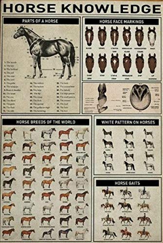 Bcts Poster#1704 Horse Knowledge Parts Of A Horse Horse Breeds Horse Knowledge Poster Horse Lover Knowledge Home Decor Metal Signs Poster 12X16 Inch