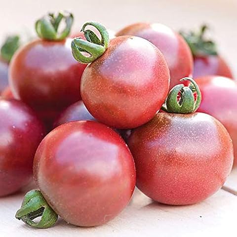 Tomato 'Rosella' Easy to Grow Seeds Cover