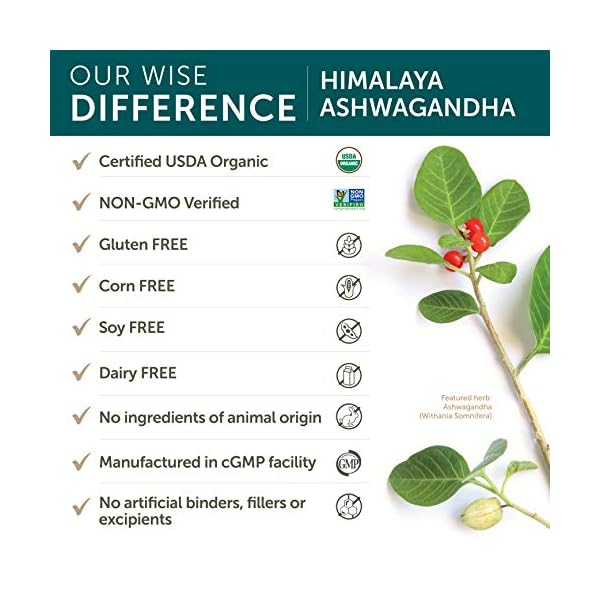 Himalaya Organic Ashwagandha, 60 Day Supply, Herbal Supplement for Stress Relief, Energy Support, Occasional Sleeplessness, USDA Certified Organic, Non-GMO, Vegan, Gluten Free, 670 mg, 60 Caplets