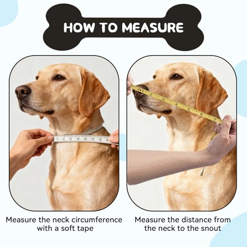 Image of Soft Dog Cone for Small Medium Large Pets After Surgery, Comfy Cone for Dogs, Cones for Dogs to Stop Licking, Pet Elizabethan Collar Alternative to Prevent Licking Wounds (Grey, M)