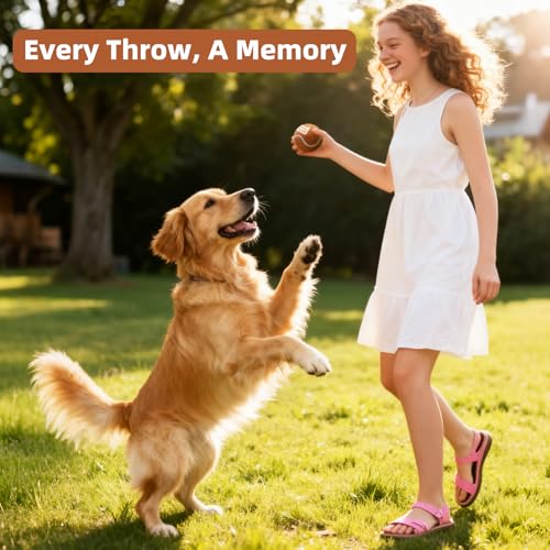 Image of Sunraymascota 6-Pack Tennis Balls for Dogs Fetch Toys,for Beginner Practice