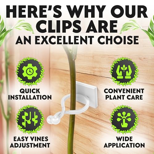 image for DIMROM Plant Clips for Climbing Plants - 100Pcs Plant Support Adhesive