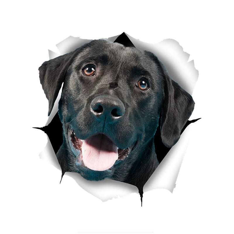 Pegatina de perro 3D de 30cm para decorar el coche y aseo