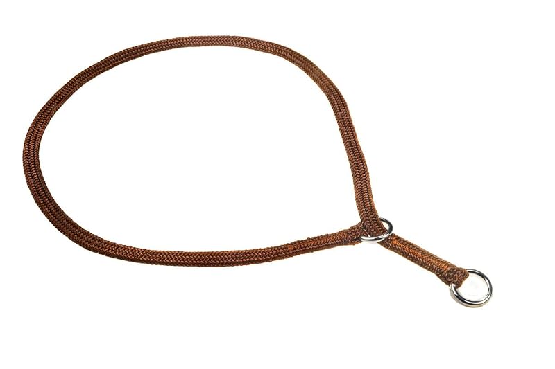Coleira Slip de Apresentação para Cães em Nylon alvalley Marrom, 9 mm x 60,96 cm