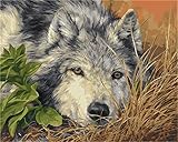 DIY Paint by Numbers for Adults, Paint by Numbers for Adults DIY Oil Painting Paint by Numbers Kits...