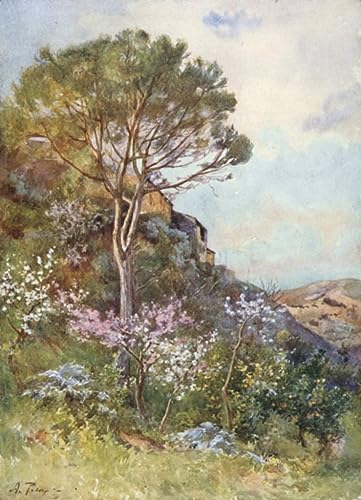 Peinture murale Près de Calatafimi Alberto Pisa pour un salon élégant