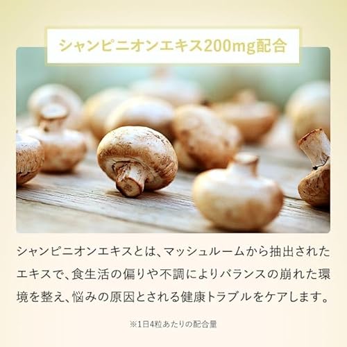 オーガランド (ogaland) シャンピニオンエチケット の商品画像 2