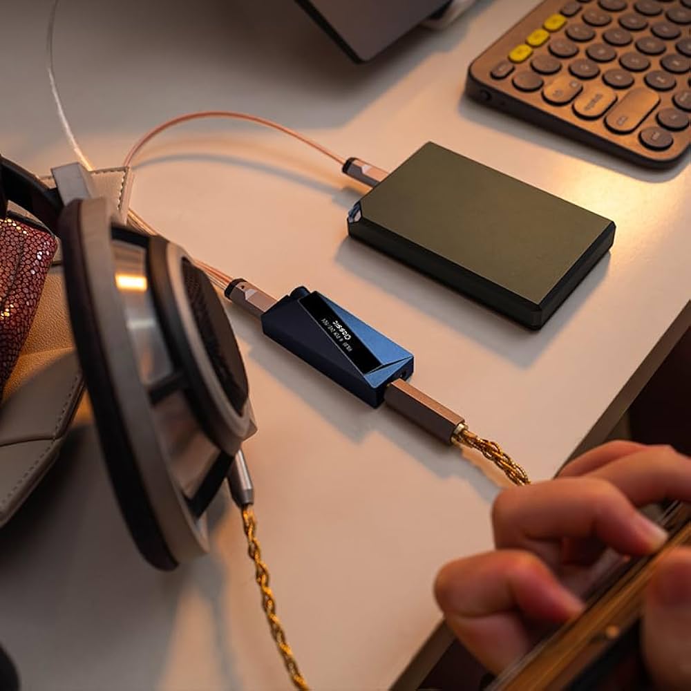 LUXURY & PRECISION W2 131 ヘッドホンアンプ　DAC 試聴レビュー】LUXURY&PRECISION W2-131はなにが変わったのか