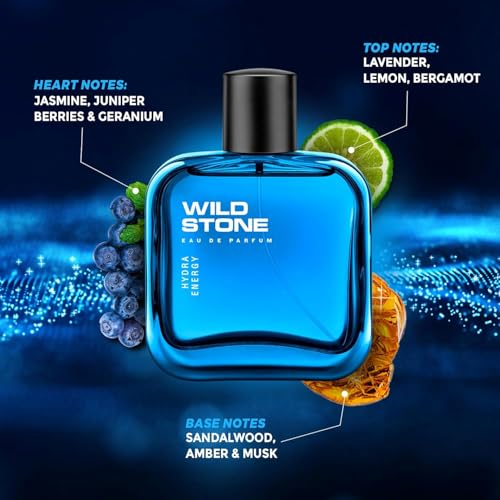 Image of Wild Stone Hydra Energy Perfume Spray, Sandalwood, 100 ml